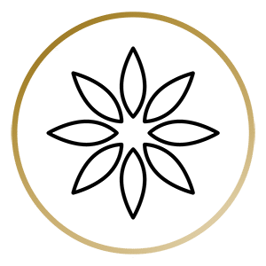 invisalign icon Fair lakes Family and Cosmetic Dentistry